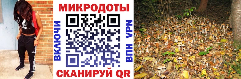 наркота  Похвистнево  Псилоцибиновые грибы Magic Shrooms 